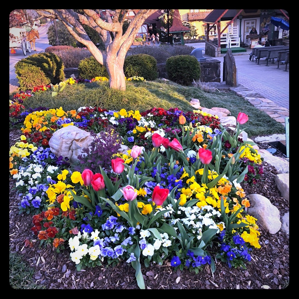 Meet your Posher, Tracy